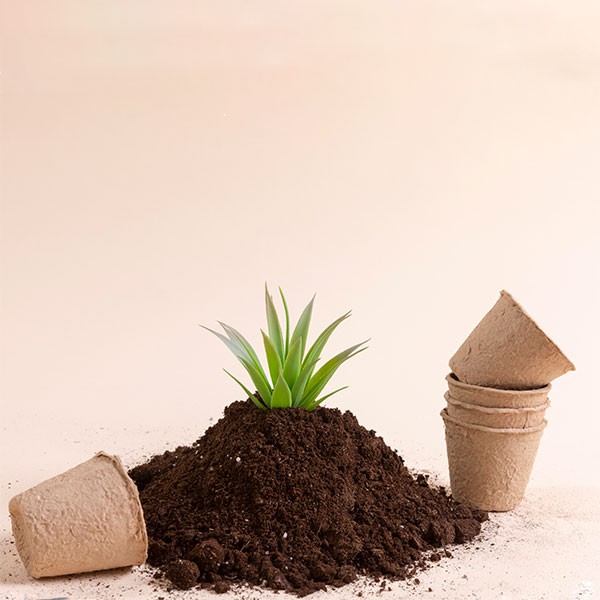 Potting Soil and Fertilizers